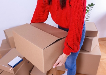 Превью новости 